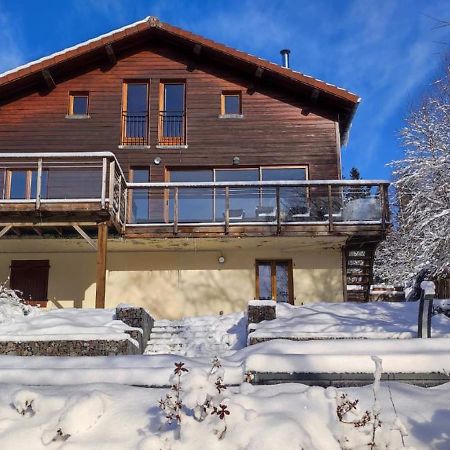 Le Cerf, Chalet Cocooning Avec Piscine Et Billard Ban-sur-Meurthe-Clefcy Eksteriør bilde