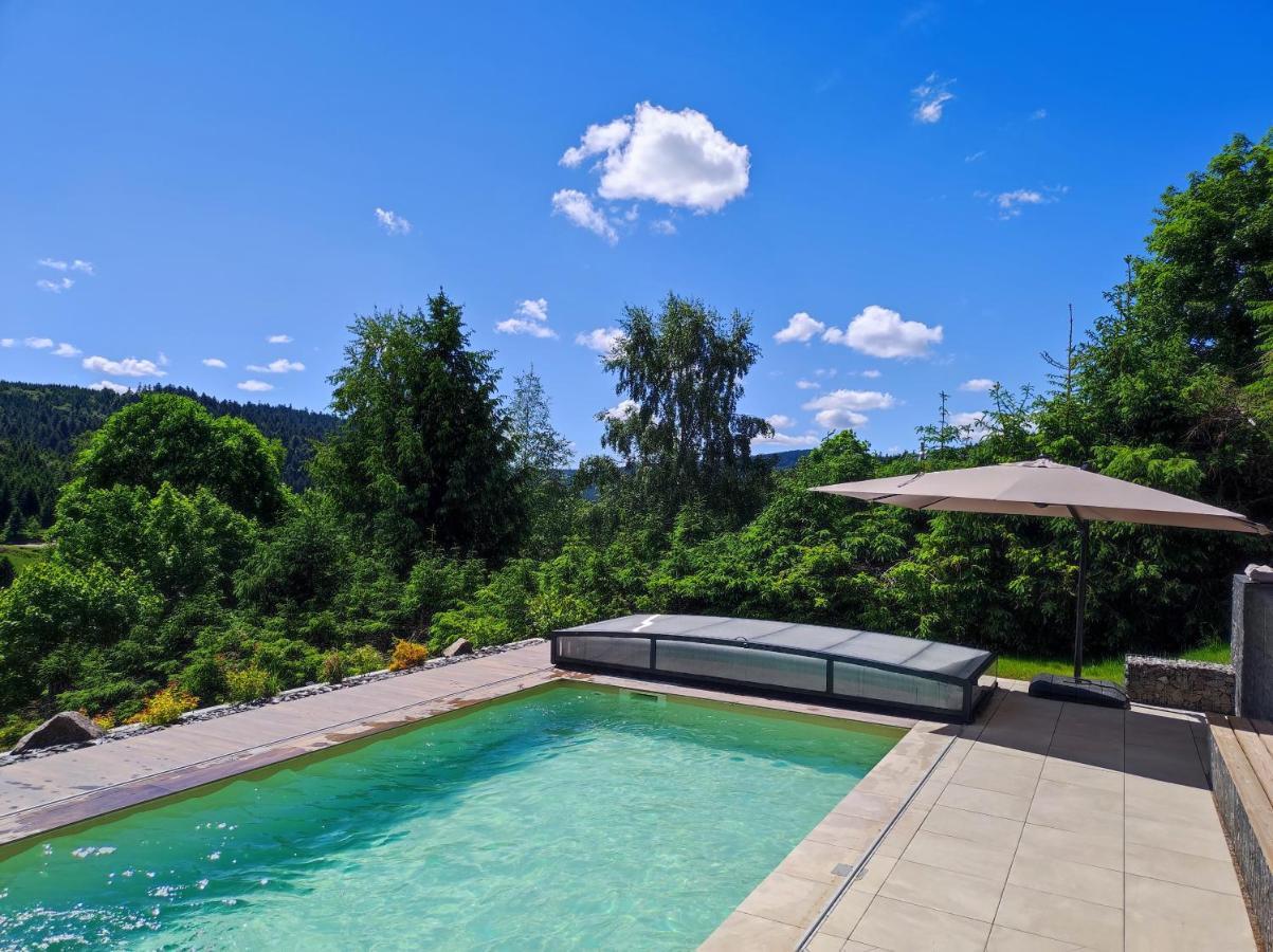 Le Cerf, Chalet Cocooning Avec Piscine Et Billard Ban-sur-Meurthe-Clefcy Eksteriør bilde