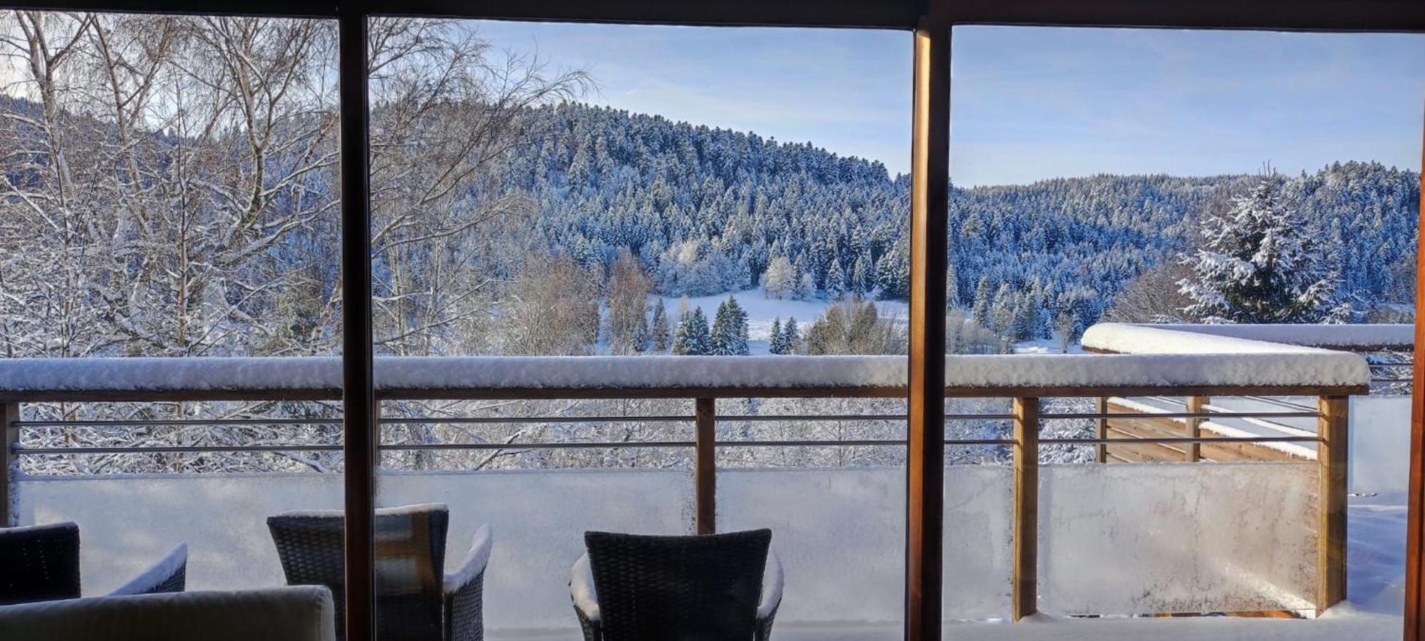 Le Cerf, Chalet Cocooning Avec Piscine Et Billard Ban-sur-Meurthe-Clefcy Eksteriør bilde